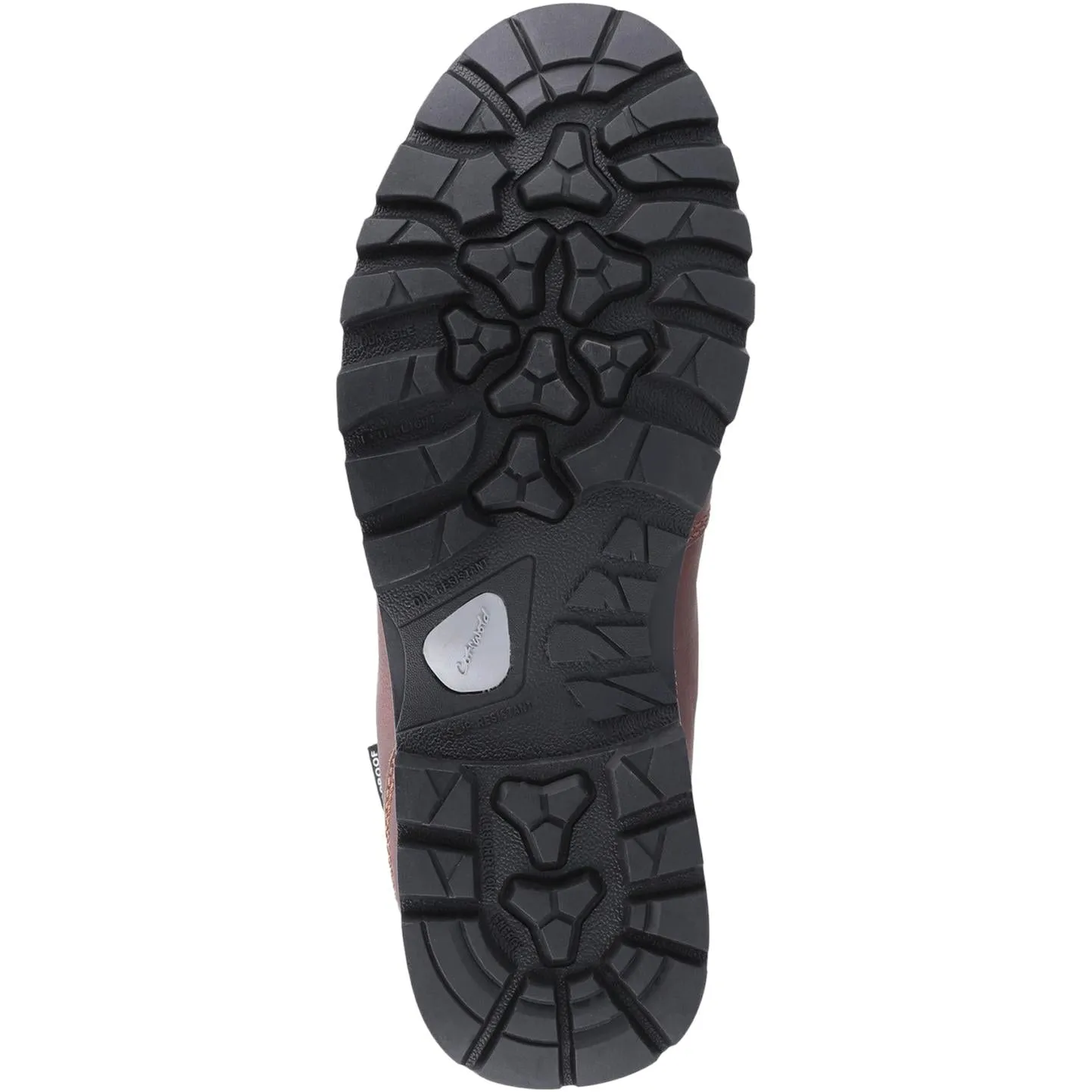 Cotswold Kingsway Hiking shoe