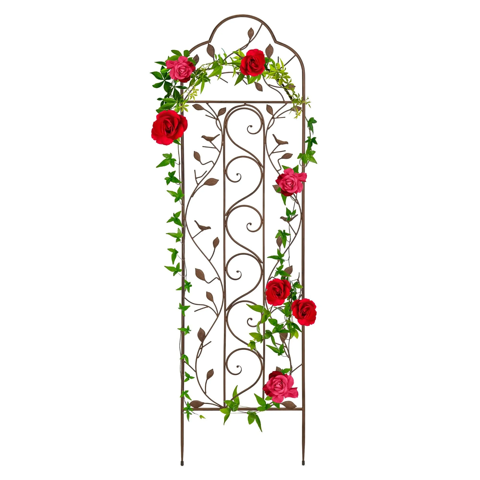 Iron Arched Garden Trellis