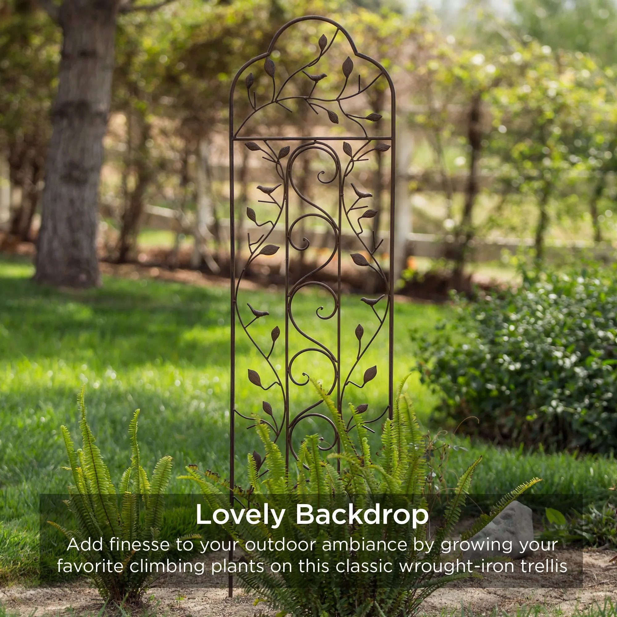 Iron Arched Garden Trellis