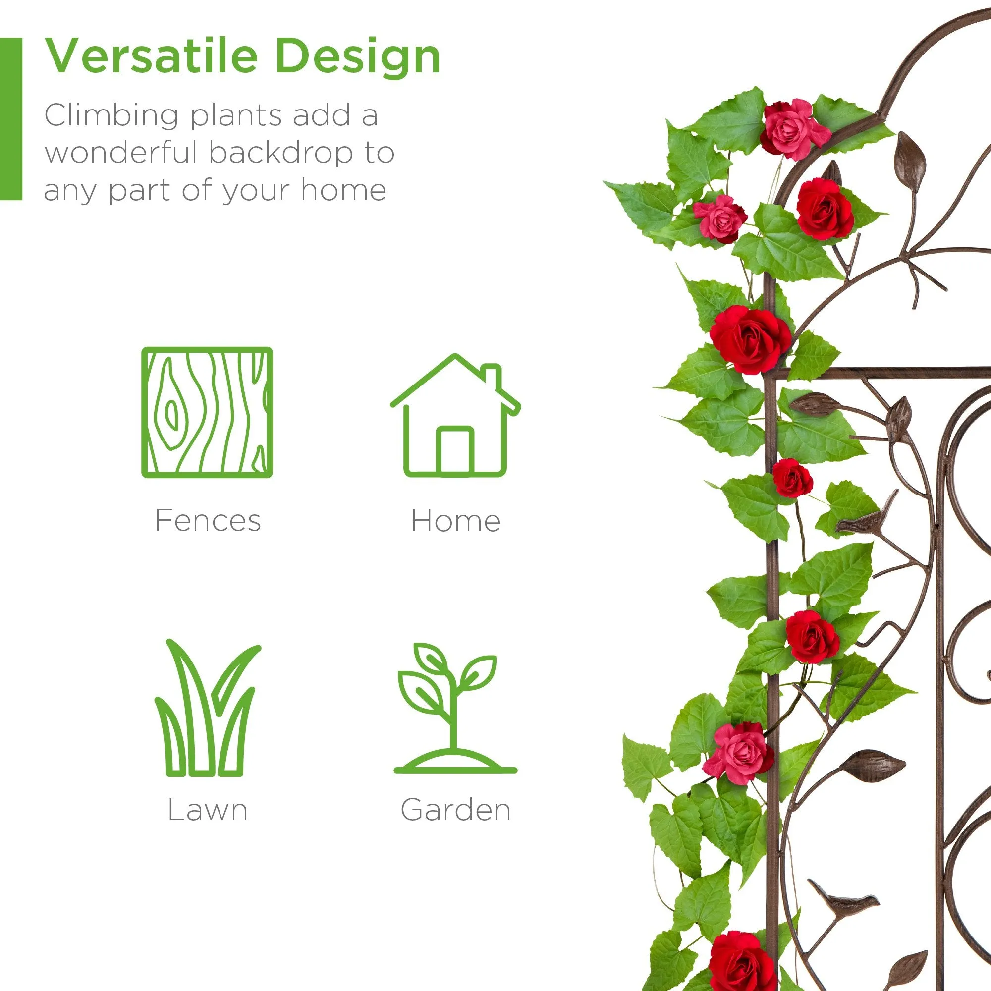 Iron Arched Garden Trellis