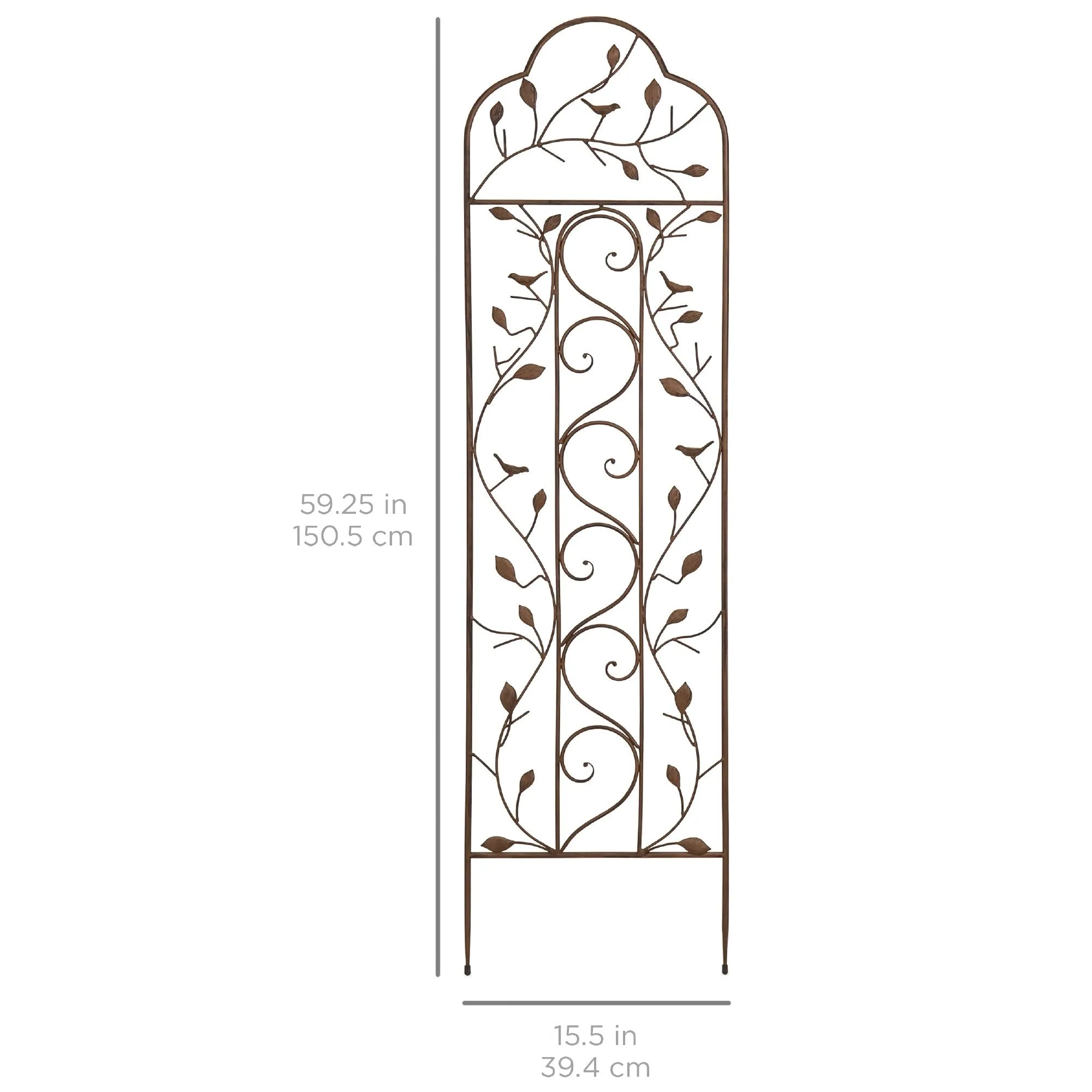 Iron Arched Garden Trellis