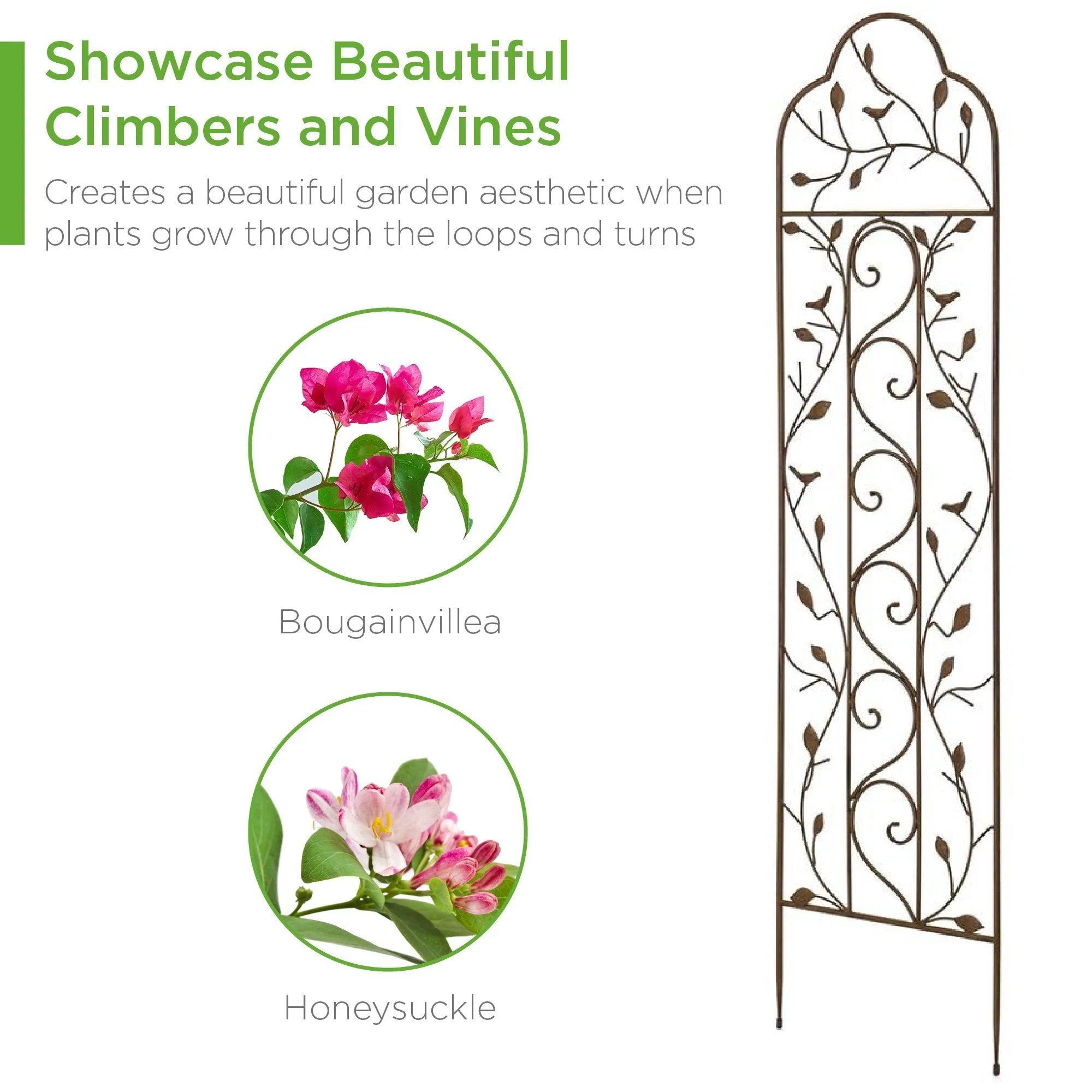 Iron Arched Garden Trellis