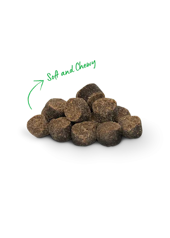 Open Farm - Be Good Bites - Grass-Fed Beef Recipe Dog Treats