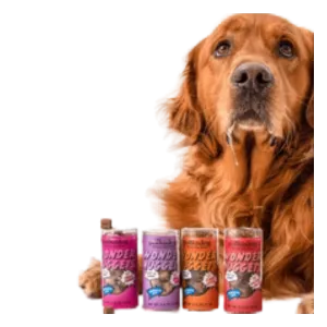 Polka Dog Mini Tube Wonder Nuggets Peanut Butter Soft & Chewy Dog Treats 2.5oz