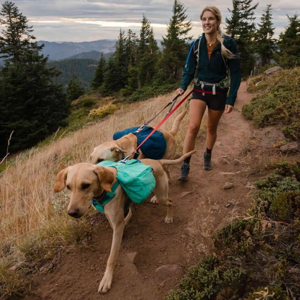 Ruffwear Front Range Day Pack No-Pull Handled Dog Harness (Red Clay)