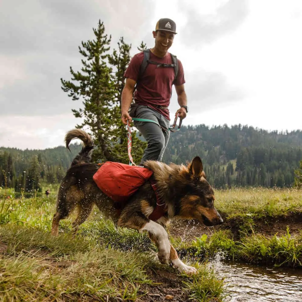 Ruffwear Front Range Day Pack No-Pull Handled Dog Harness (Red Clay)